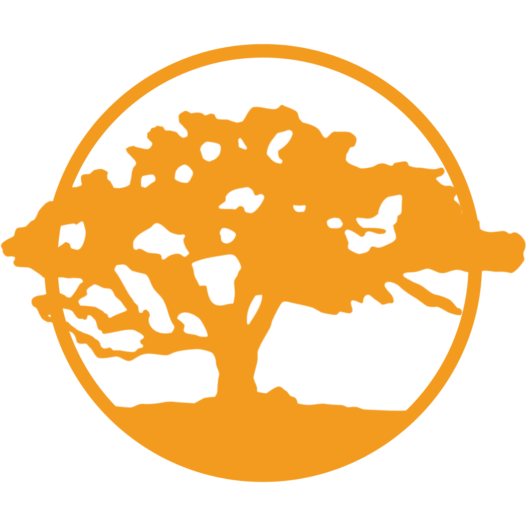 Waikōloa Dry Forest Initiative
